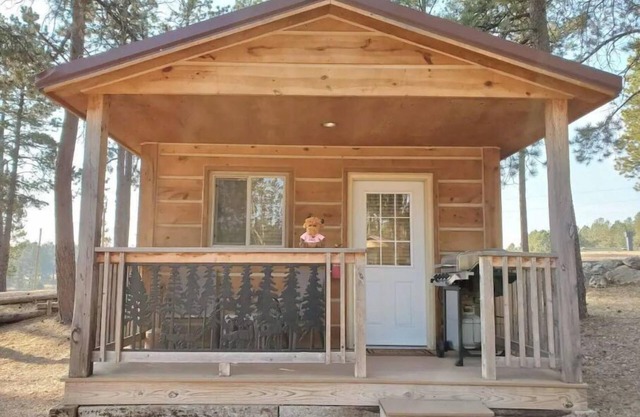 Cute Camping Cabin in Custer - #16
