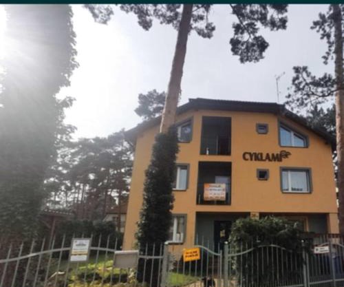 Cyklami