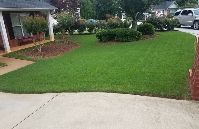 David's Manor! $ Nightly Specials!15min from Stone Mountain Park!