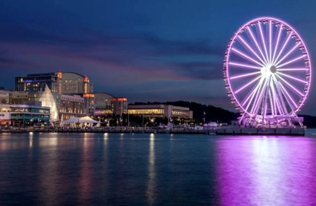 Dee's Lounge, Your Relaxation Oasis