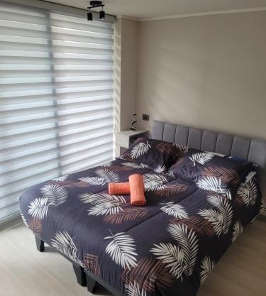Departamento Estudio