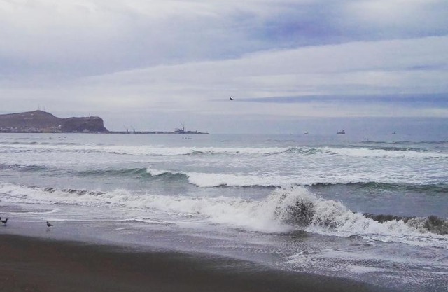 Departamento Playero