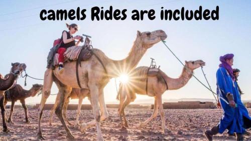 Desert Camp in Zagora - Camel ride - Easy & Affordable Stays