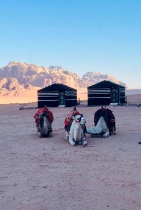 Desert guide camp