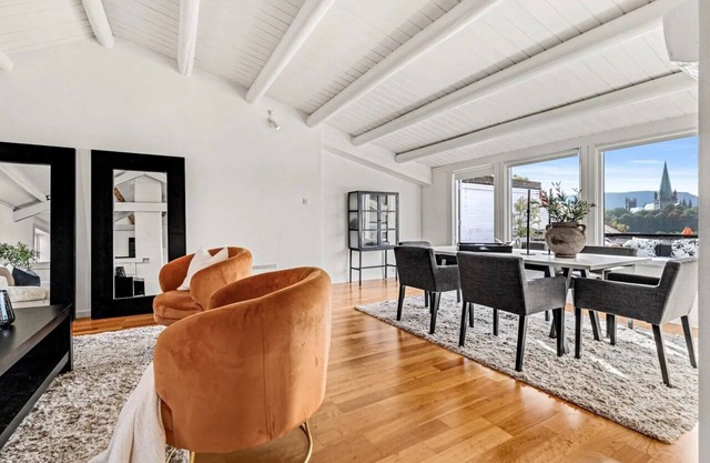 Detached house in Bakklandet, panoramic views of Nidaros Cathedral