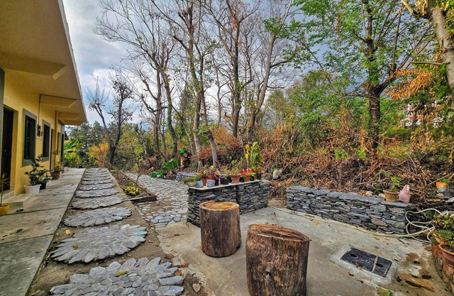 Dhauladhar Inn