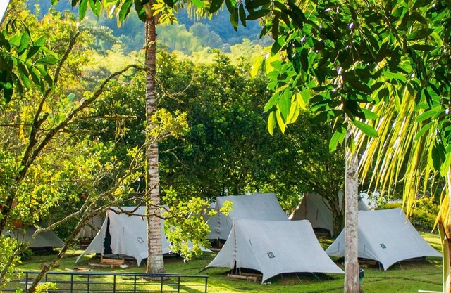 Disconnect and Relax: Luxury Camping by the Lake