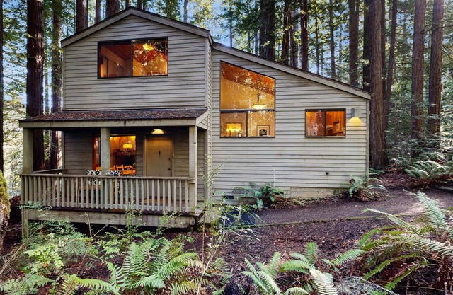 Dog-friendly forest retreat among redwoods, walk to Hot Spot & Gualala River