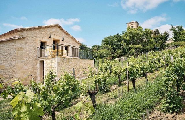 Domaine Baudon, situé au cœur des vignes