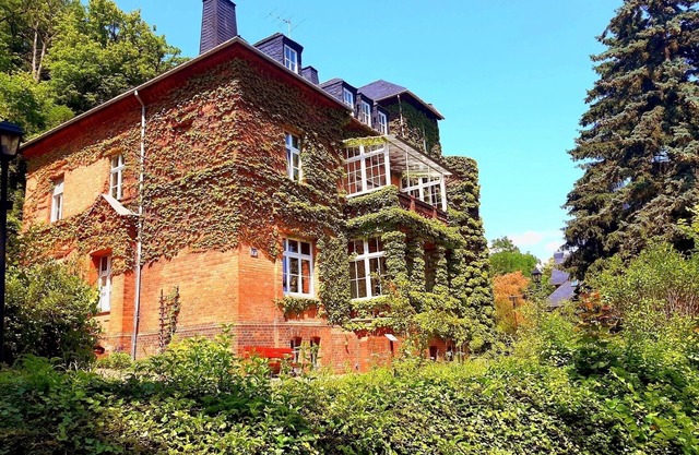 Double room for 2 guests with 39m² in Bad Freienwalde (Oder) (272845)