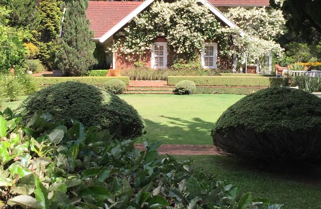 dream house in the countryside