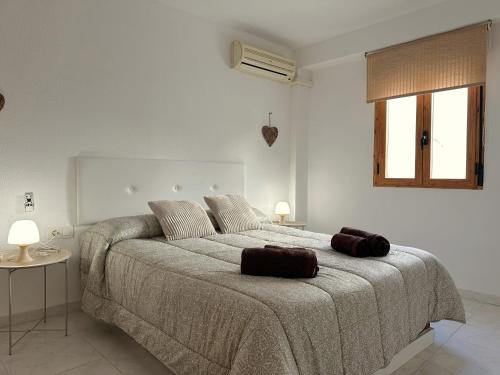 DS El rincón de Ravé