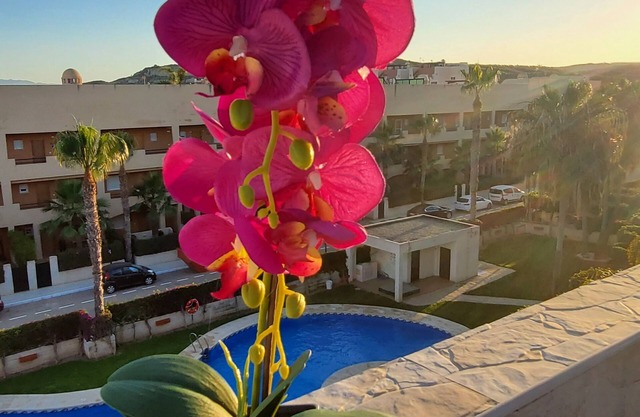 Duplex penthouse with private pool and sea views!