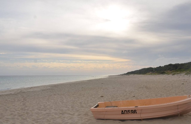 Eagle Bay Discovery Cottage