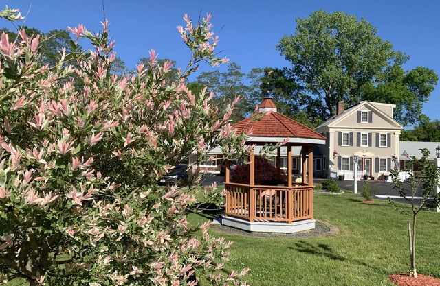 Eagle Wing Inn - Cape Cod