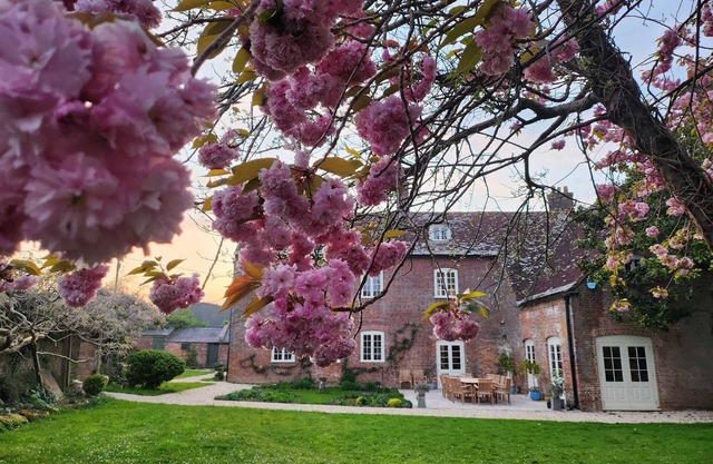 Eclectic Dorset Country House, Hot Tub, Pool Table, Movie Room,12 guests & pets