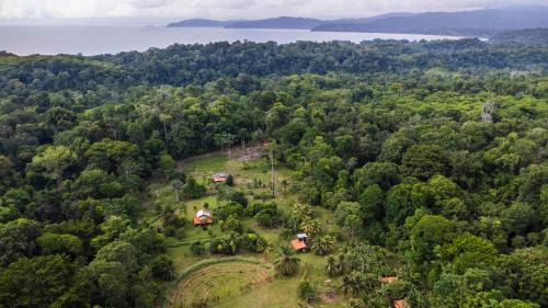 Eco Lodge&Farm Rustic Roots Reserve