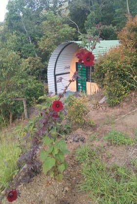 Ecoglamping Guatoc