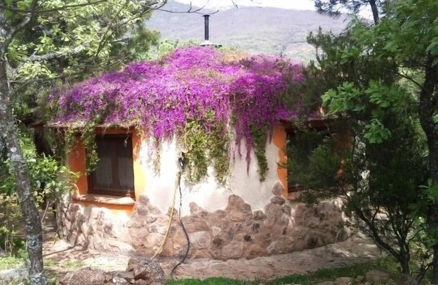 Ecological and sustainable tourism in the middle of nature. dog-friendly. AT-CC-00125