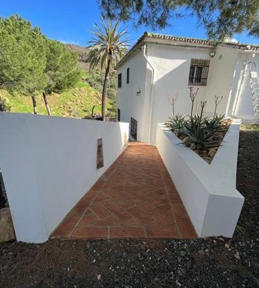 El bufon de la corte