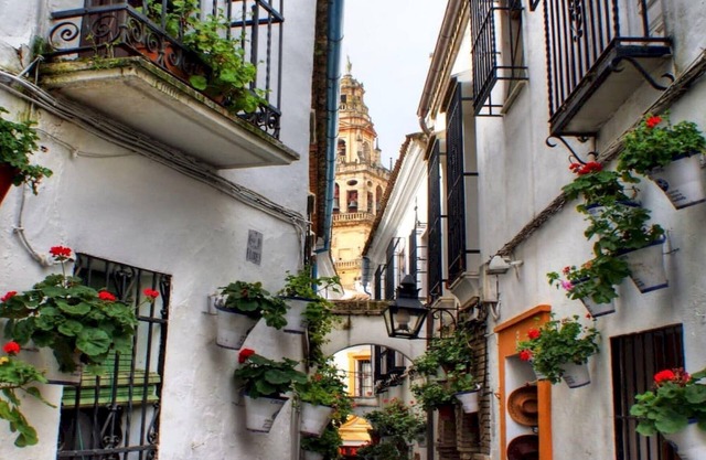 El Califa Apartment - 3 Rooms ⭐⭐⭐⭐