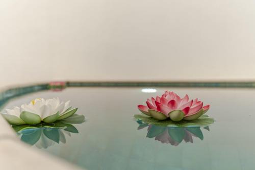 El Mirador del Valle