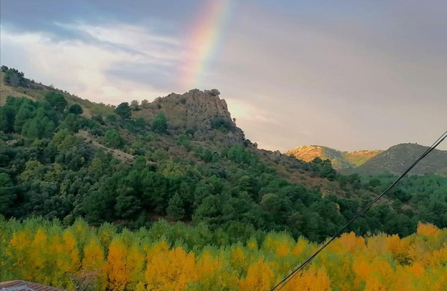 El Pedregal Del Tocón