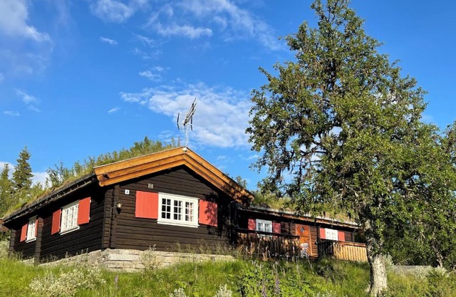 Elveseter - log cabin with an amazing view