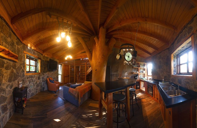 Encantadora Casa del Árbol en el Valle del Elqui!