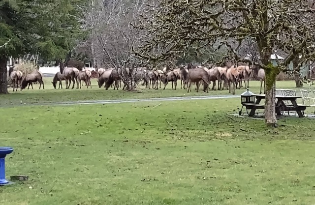 Enchanting studio with WiFi in charming Otis