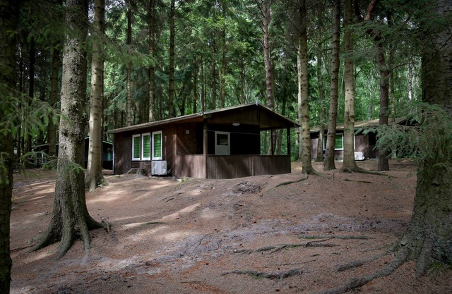 Enjoy a fantastic holiday in our 2018 renovated resort