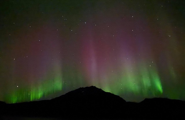 Enjoyable 2-bedroom apartment in Hamnvik