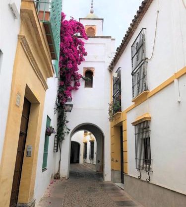 Entre 2 Mezquitas Apartamento 8