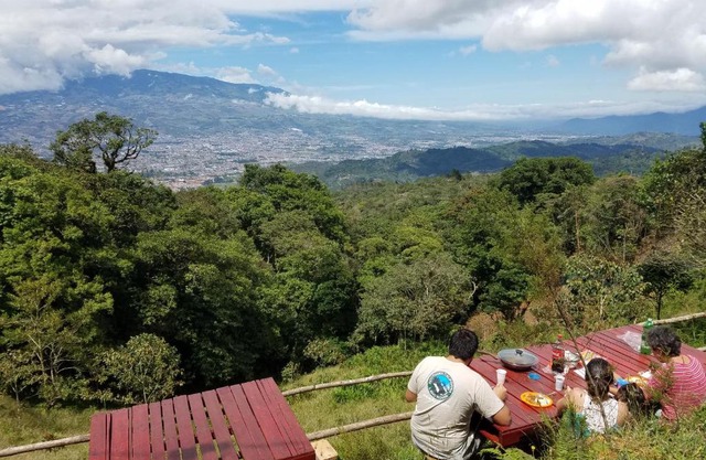 Escapadita al Bosque