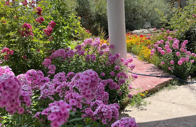 "Escape to Serenity: A Charming Garden Home Stay Retreat"
