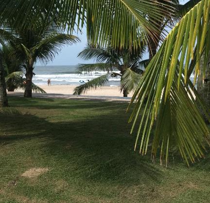 Espaço Zen - Equilíbrio da Alma