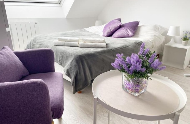 Esprit Violet - Joli Studio Salengro - Sauna & Sport club