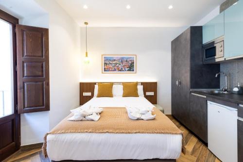 Estudio reformado en centro Granada