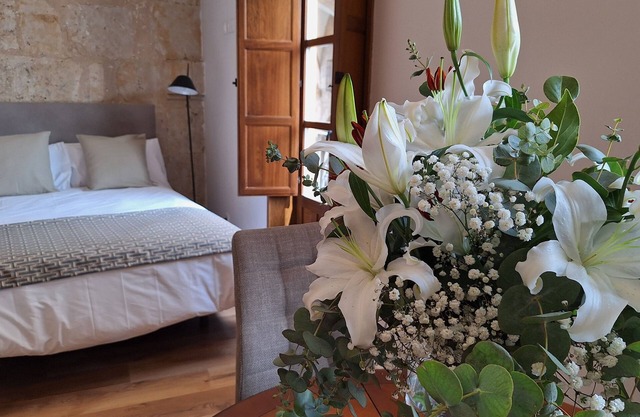 Estudio VIP a 10 Metros de la Plaza Mayor de Salamanca