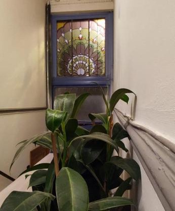 European District Studios