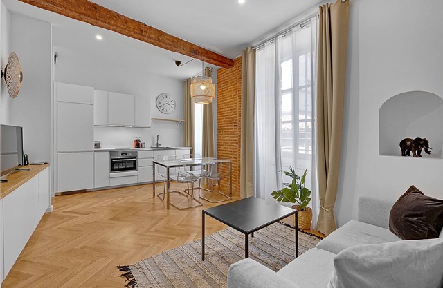 Exceptionnel T2 Hypercentre Hôtel Particulier Toulouse Capitole