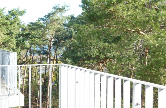 Excl. Apartment with WLAN, close to the beach with swimming pool, sauna in the house