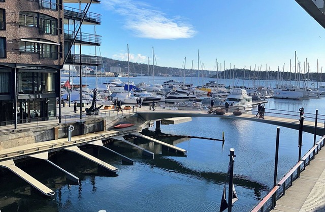 Exclusive Apartment at Tjuvjolmen, Luxury in the heart of Oslo