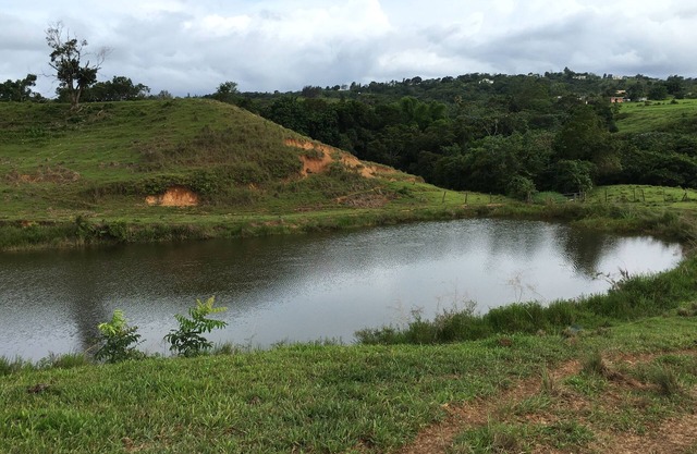 Experience life on a family owned cattle ranch