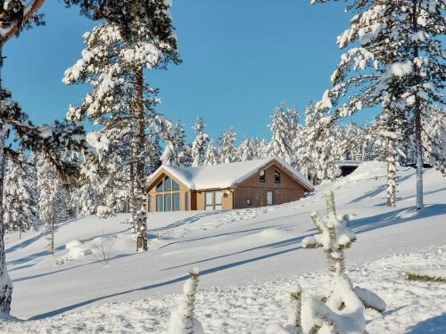 Experience Mountain Magic At Bringsfjellet