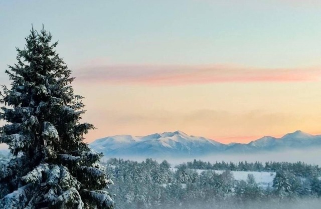 Experience Your Journey with Us