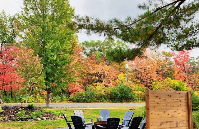Fall Colors on the St Croix River with King bed and NEW Sauna