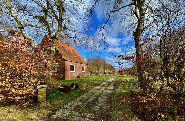 Familienurlaub in Ostfriesland auf dem Land - in Aller Ruhe Genießen