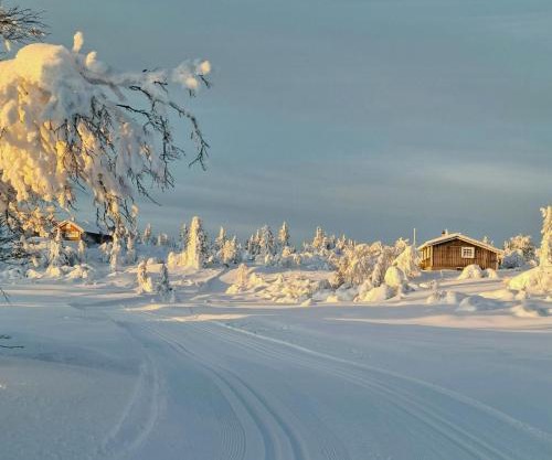 Family Cabin With Firepit At Søndre Fjellstølen