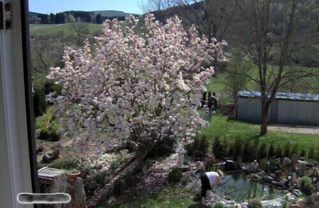 Family-friendly * accommodation; 3 Bedrooms